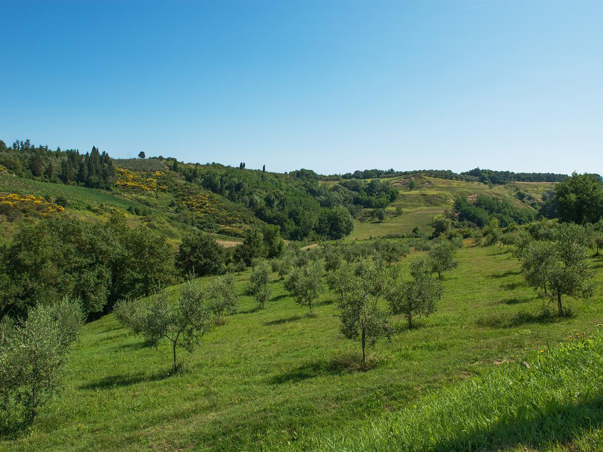 Hotel Relais Sassa Al Sole San Miniato Exterior foto